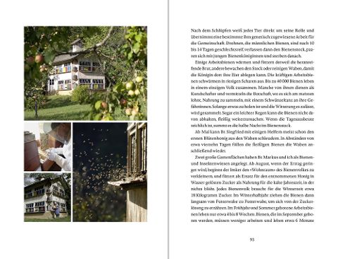 InsideView 16