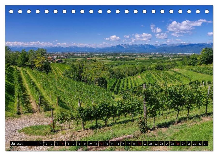 InsideView 12