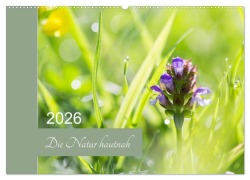 Die Natur hautnah (Wandkalender 2026 DIN A2 quer), CALVENDO Monatskalender - Martina Strudl