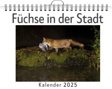 Cover-Bild zum Titel 'Füchse in der Stadt' von 'Felix Krause'