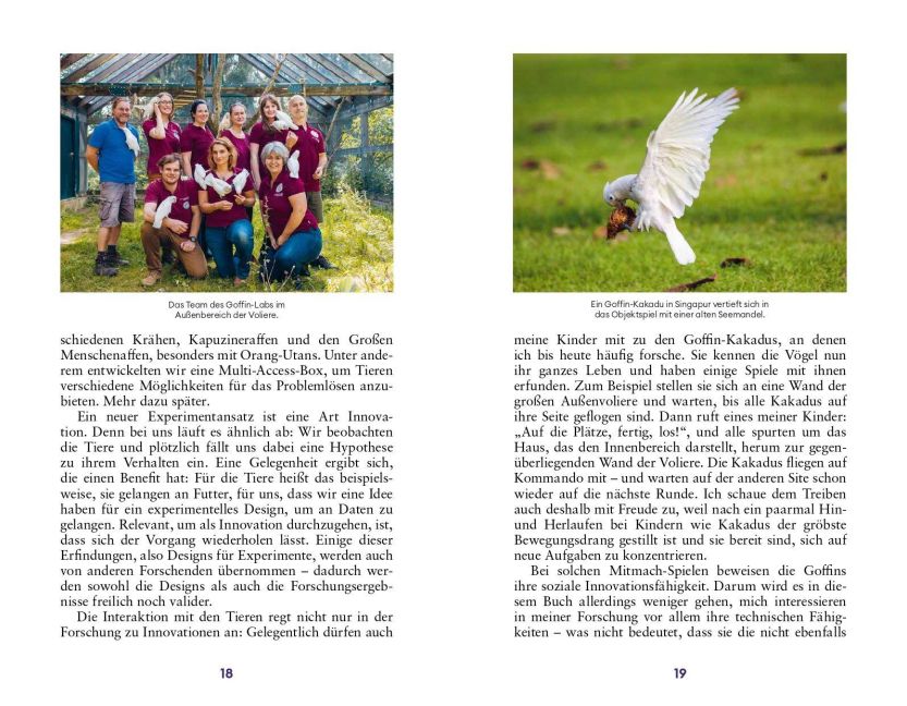 InsideView 8