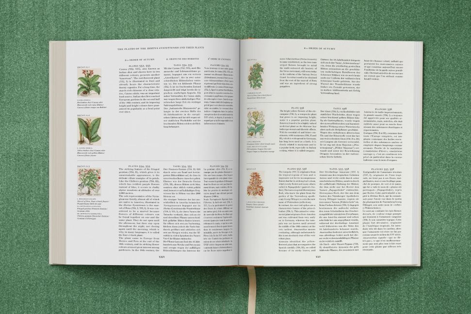 InsideView 20