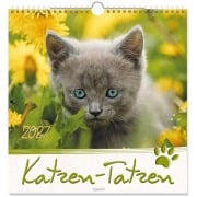Cover-Bild zum Titel 'Katzen-Tatzen 2027' von ''