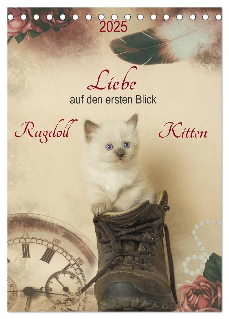 Liebe auf den ersten Blick . Ragdoll Kitten (Tischkalender 2025 DIN A5 hoch), CALVENDO Monatskalender - Marion Reiß-Seibert