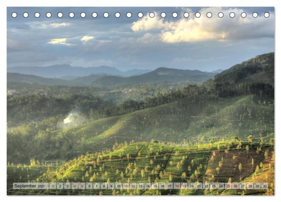 InsideView 14