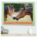 Faszination Pferdefreundschaft (hochwertiger Premium Wandkalender 2024 DIN A2 quer), Kunstdruck in Hochglanz - Babett Paul - Babetts Bildergalerie