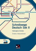 Cover-Bild zum Titel 'Drama interpretieren' von 'Beate Wolfsteiner'
