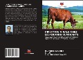 Cover-Bild zum Titel 'INFECTION VIRALE CHEZ LES GRANDS RUMINANTS' von 'Subha Ganguly, R. Das, S. K. Mukhopadhayay'