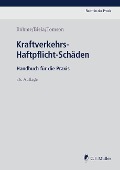 Kraftverkehrs-Haftpflicht-Schäden - Kurt E. Böhme, Anno Biela, Christian Tomson