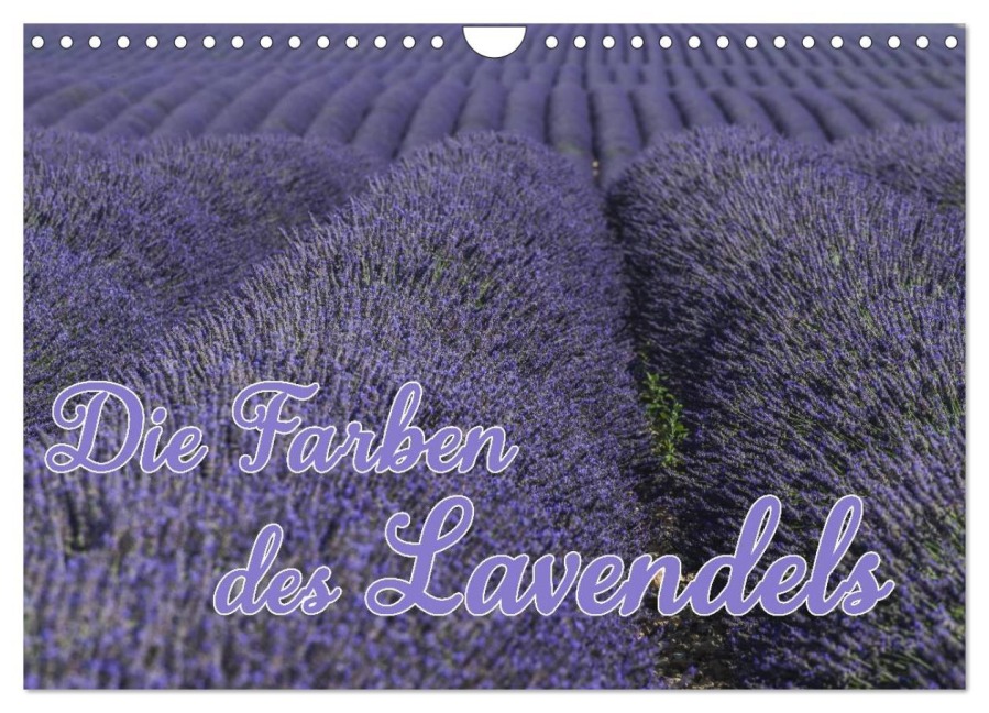 Die Farbe des Lavendels (Wandkalender 2026 DIN A4 quer), CALVENDO Monatskalender - Ralf-Udo Thiele