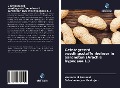 Cover-Bild zum Titel 'Geïntegreerd voedingsstoffenbeheer in aardnoten (Arachis hypogaea L.)' von 'Veeramani Perumal, Subrahmaniyan Kasirajan'