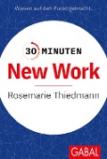 Cover-Bild zum Titel '30 Minuten New Work' von 'Rosemarie Thiedmann'