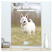 Berger Blanc Suisse - Freunde auf 4 Pfoten (hochwertiger Premium Wandkalender 2026 DIN A2 hoch), Kunstdruck in Hochglanz - Andrea Potratz