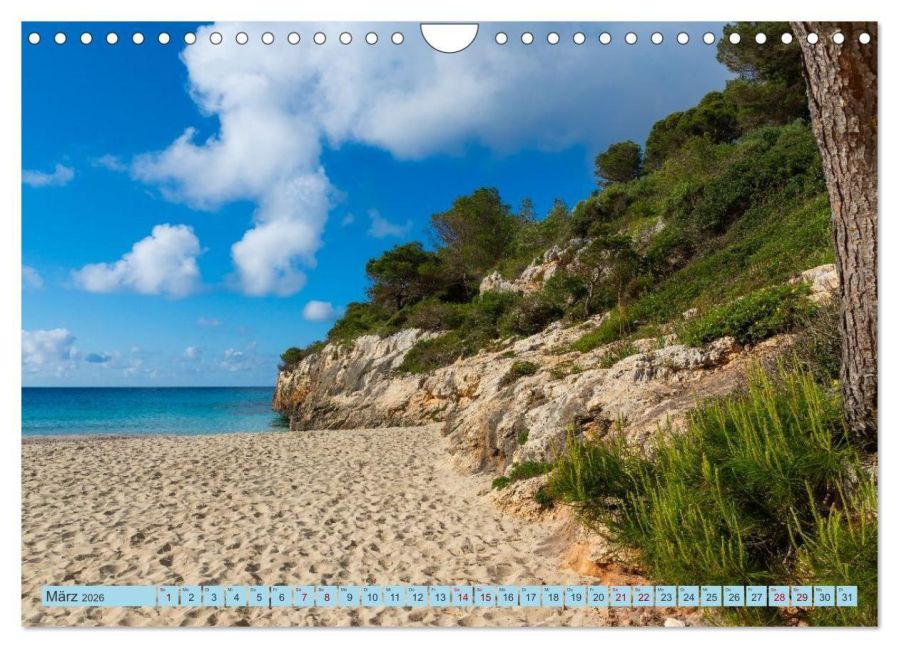 InsideView 8