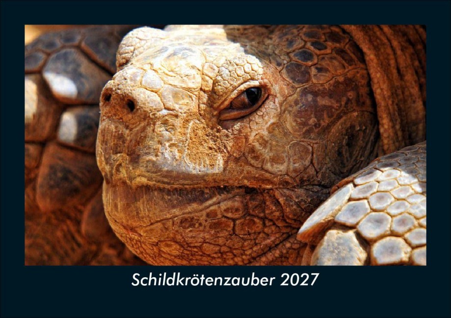Schildkrötenzauber 2027 Fotokalender DIN A5 - Tobias Schmitt, Kevin Heber