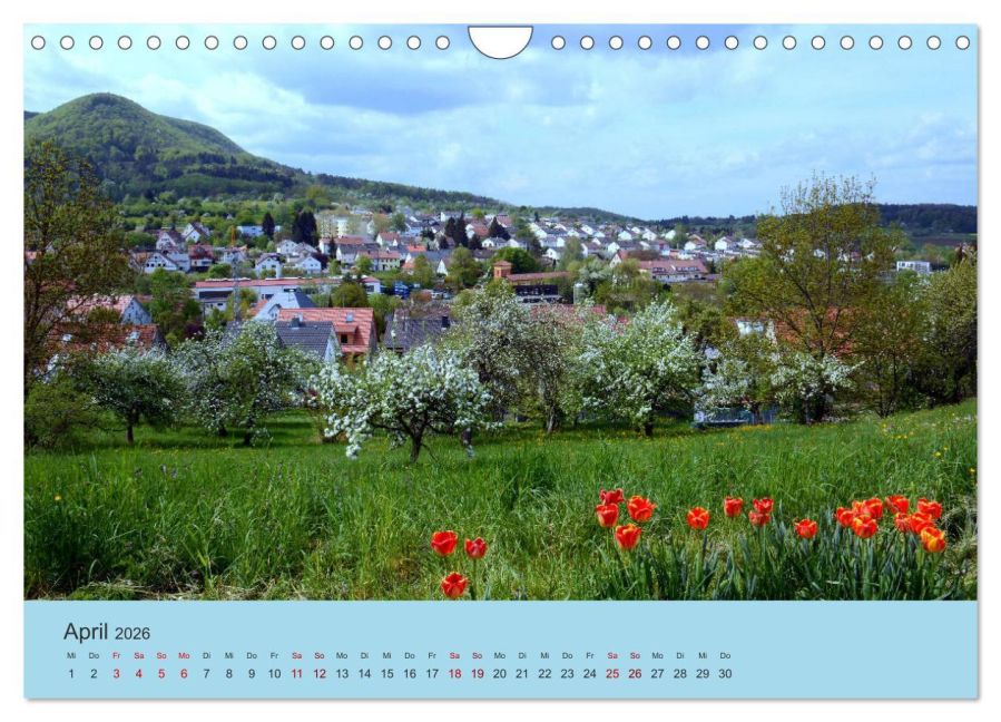 InsideView 9