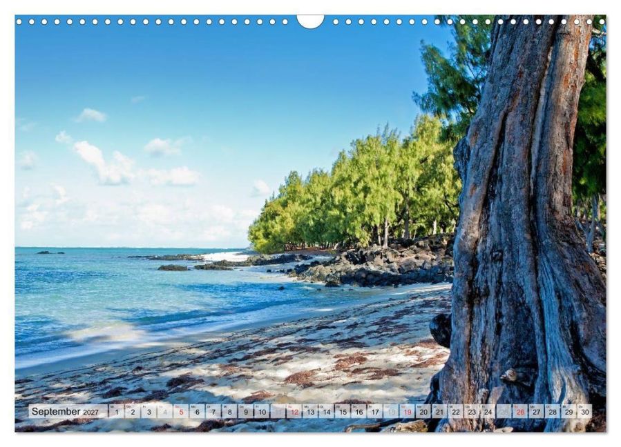 InsideView 14