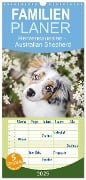 Familienplaner 2025 - Herzensaussies - Australian Shepherd mit 5 Spalten (Wandkalender, 21 x 45 cm) CALVENDO - Madlen Kudla