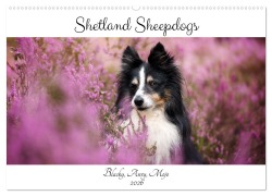 Shetland Sheepdogs Blacky, Anry, Mojo 2026 (Wandkalender 2026 DIN A2 quer), CALVENDO Monatskalender - Madlen Kudla