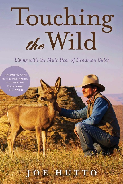 Touching the Wild - Joe Hutto