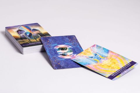 InsideView 14