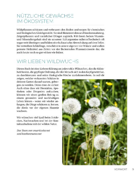 InsideView 14