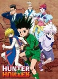 Cover-Bild zum Titel 'Erwachsenenpuzzle 500 Teile - Hunter x Hunter' von ''