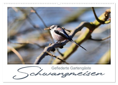Gefiederte Gartengäste, Schwanzmeisen (Wandkalender 2024 DIN A2 quer), CALVENDO Monatskalender - 