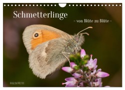Schmetterlinge - von Blüte zu Blüte - (Wandkalender 2025 DIN A4 quer), CALVENDO Monatskalender - Angelika Meister