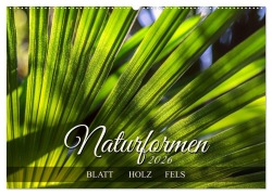 Cover-Bild zum Titel 'Naturformen, Blatt, Holz, Fels (Wandkalender 2026 DIN A2 quer), CALVENDO Monatskalender' von 'Werner Braun'