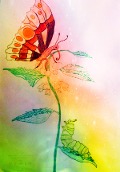 Cover-Bild zum Titel 'Die Raupe Frieda und Fridolin der Schmetterling' von 'Wolfgang Grunow-Lietz'