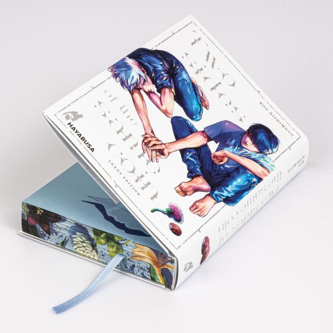 InsideView 1