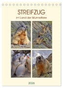 Cover-Bild zum Titel 'STREIFZUG im Land der Murmeltiere (Tischkalender 2026 DIN A5 hoch), CALVENDO Monatskalender' von 'Susan Michel'