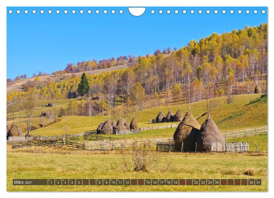 InsideView 8