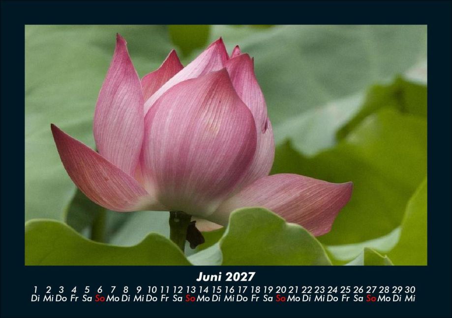 InsideView 10