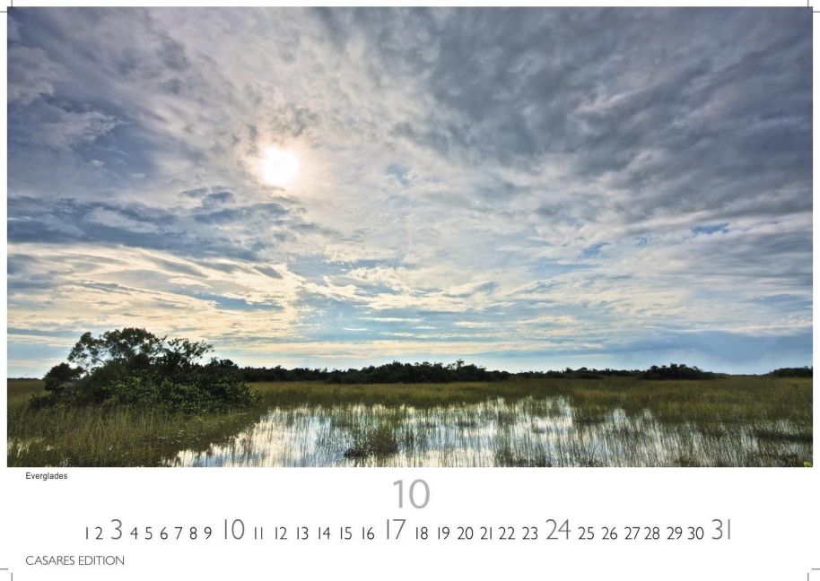InsideView 10