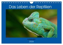 Das Leben der Reptilien (Wandkalender 2026 DIN A4 quer), CALVENDO Monatskalender - Kattobello Kattobello