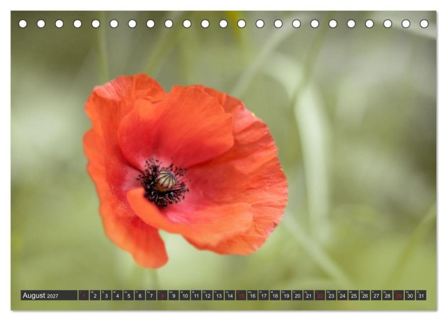 InsideView 13