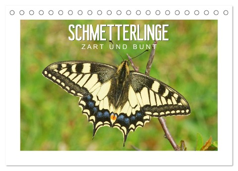 Schmetterlinge: zart und bunt (Tischkalender 2024 DIN A5 quer), CALVENDO Monatskalender - Karl-Hermann Althaus