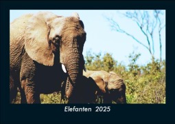 Cover-Bild zum Titel 'Elefanten 2025 Fotokalender DIN A5' von 'Tobias Becker'