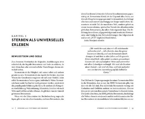 InsideView 2