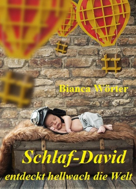 Schlaf-David entdeckt hellwach die Welt - Bianca Wörter