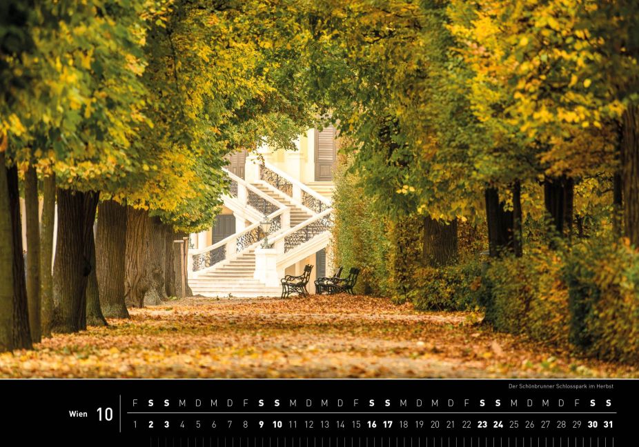InsideView 10