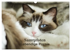 Cover-Bild zum Titel 'Samtpfoten Lebendige Poesie (Wandkalender 2027 DIN A3 quer), CALVENDO Monatskalender' von 'Marion Reiß-Seibert'
