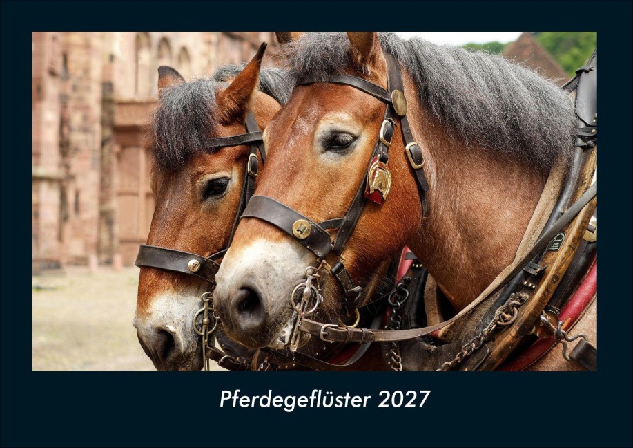Pferdegeflüster 2027 Fotokalender DIN A4 - Tobias Schmitt, Kevin Heber