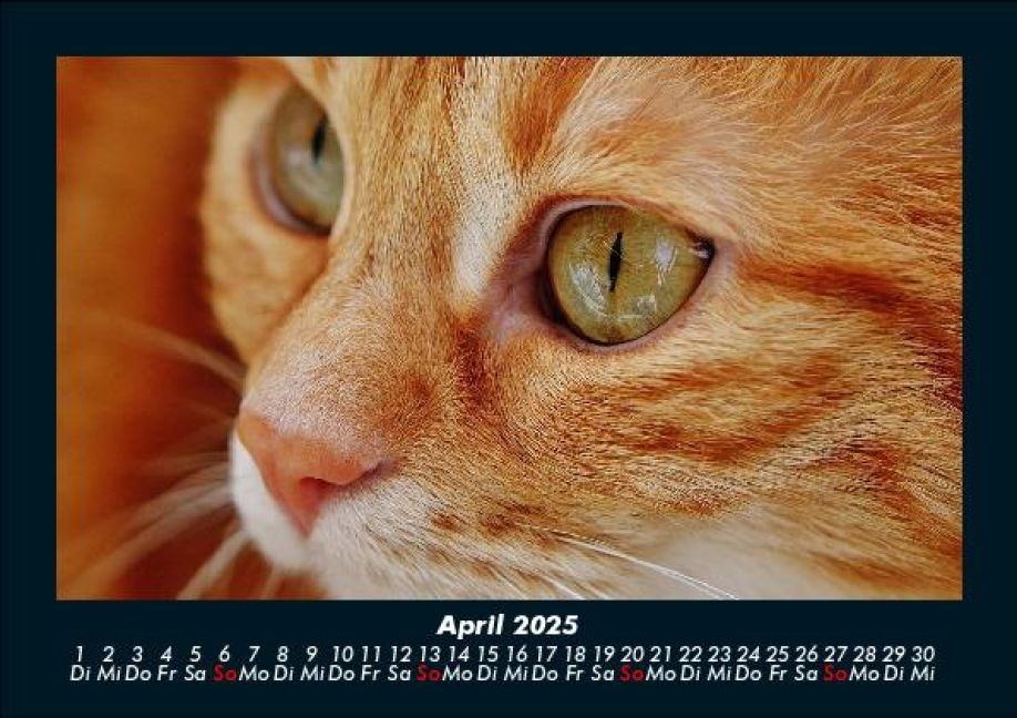 InsideView 8