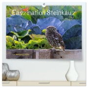 Cover-Bild zum Titel 'Faszination Steinkauz (hochwertiger Premium Wandkalender 2026 DIN A2 quer), Kunstdruck in Hochglanz' von 'Wolfgang Lequen'
