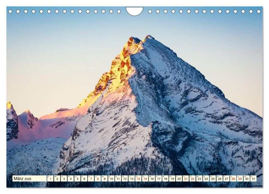 InsideView 8