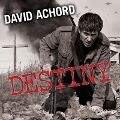 Cover-Bild zum Titel 'Destiny Lib/E' von 'David Achord'