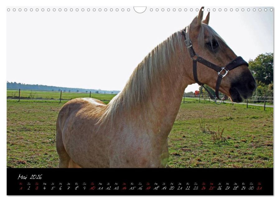 InsideView 10